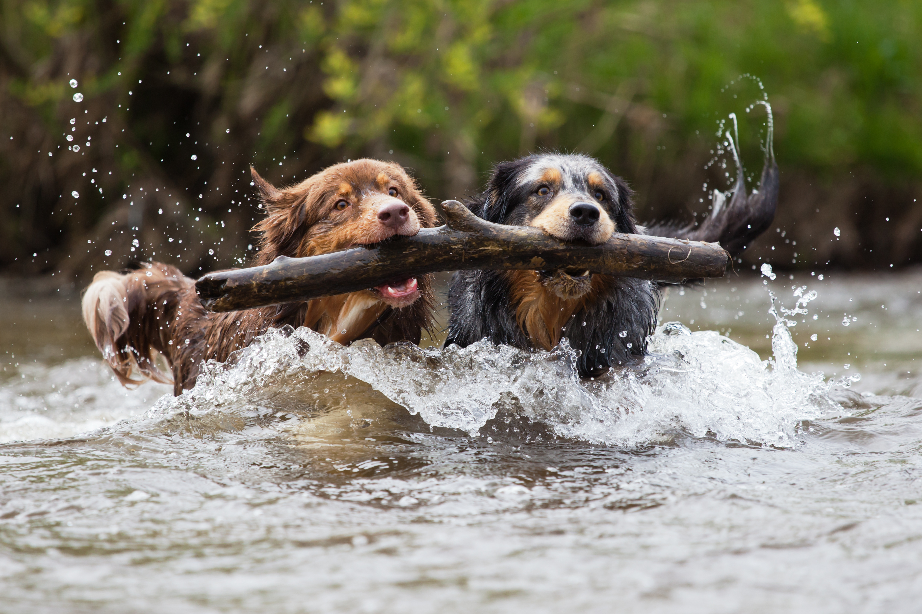 Marco Rath - Kanzleilogo Marco Rath - Kanzleilogo